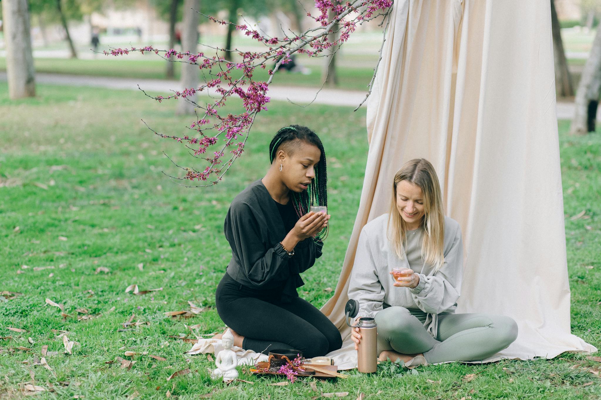 Two women enjoying a peaceful picnic in a park beneath blooming pink flowers. Ideal for lifestyle and wellness themes.